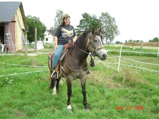 Meg og Bråtnes Sina, min første egne hest. Jeg hadde også hatt en annen hest på leiekontrakt før henne, så den stod også registrert på meg en stund, men det var Sina som var MIN første hest.